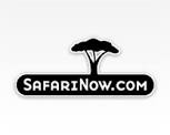 Safarinow Logo